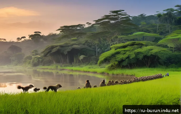 부룬디에서 가능한 액티비티 관련 이미지 1